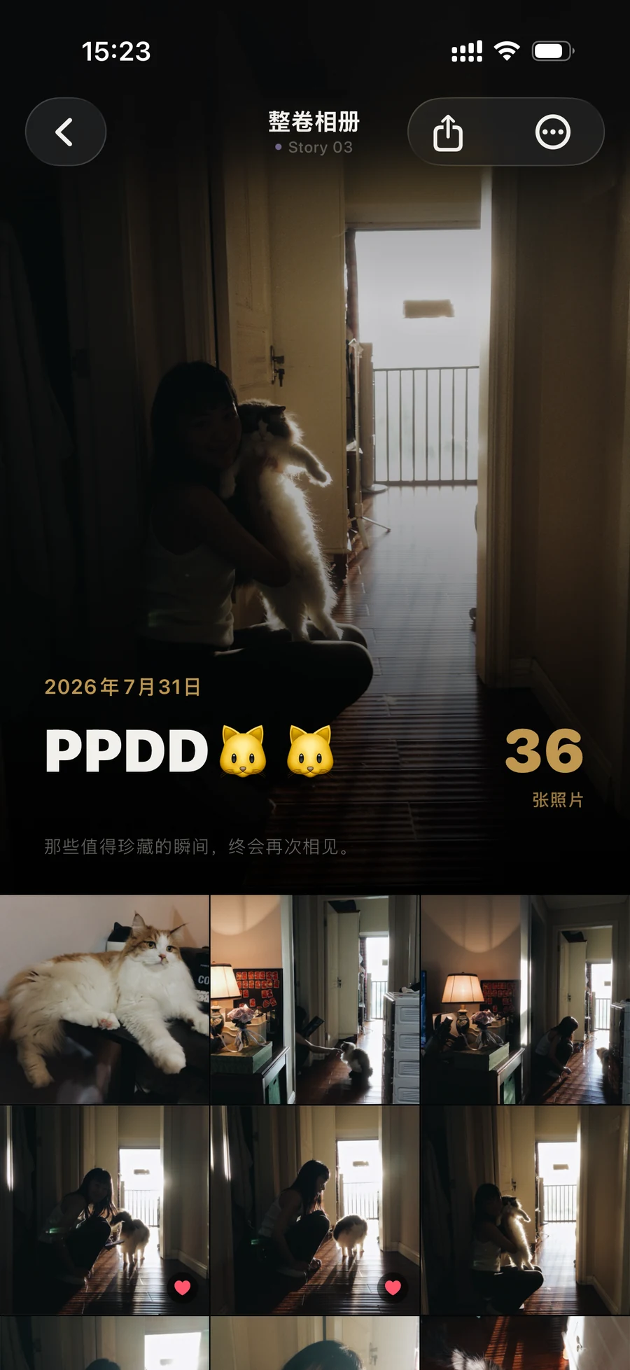 一卷已經打開的 TimeRoll 與完整照片網格